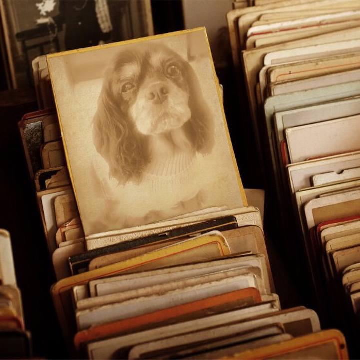 6eb00be8 9a55 48b9 9851 23ffe8b451c7 1508651486566