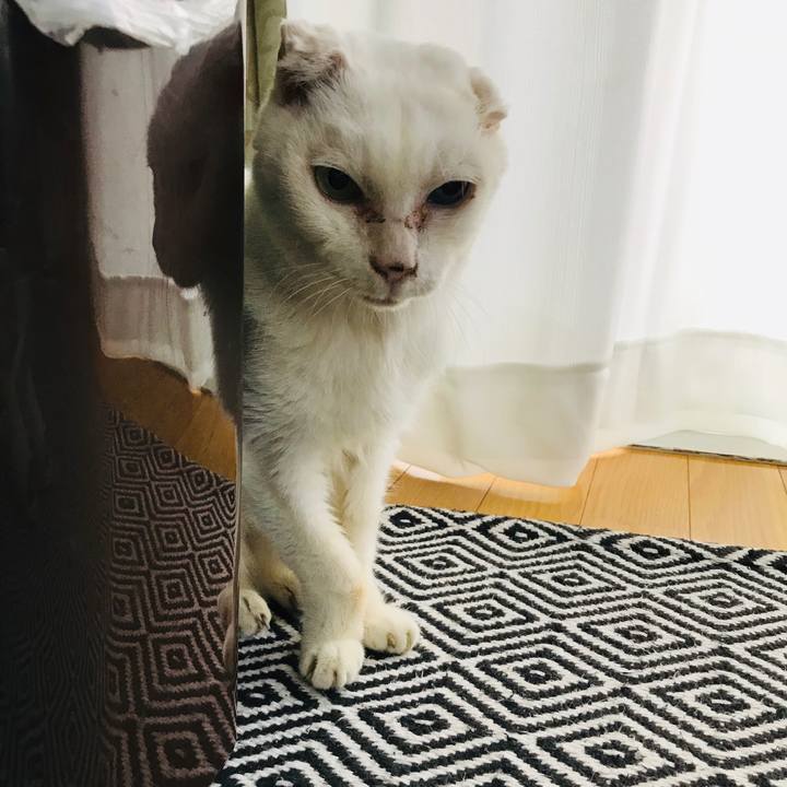 6eb0161a 6f82 460f 8d74 40548eb564f3 1571197804030