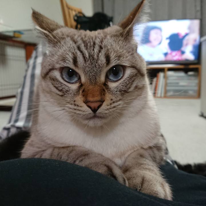 6eb03939 d7dd 422f 8dd1 19260e694734 1537019513449