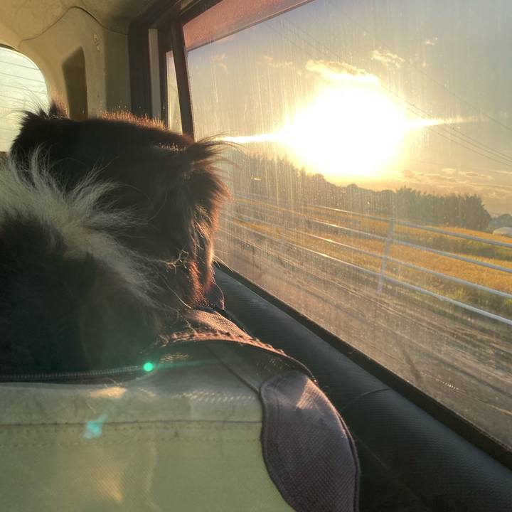 6eb056b4 a3cf 45e6 94af 350201300a91 1697841704970