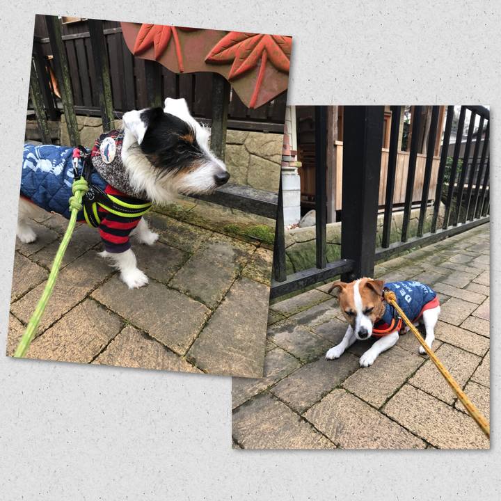 6eb08c6f fbbd 41f3 9066 7bbecf1a698f 1516441959069