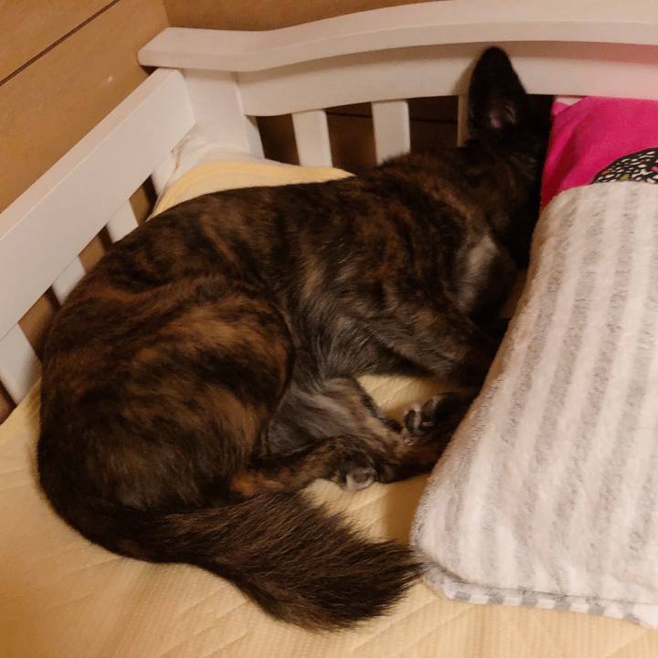 6eb0ad0b 580a 4a9d a4da 9e5fd56f9a7e 1567612747102