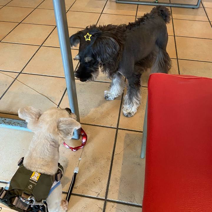 6eb11582 e15d 4409 ac85 14f3ed1ae01e 1631177686818