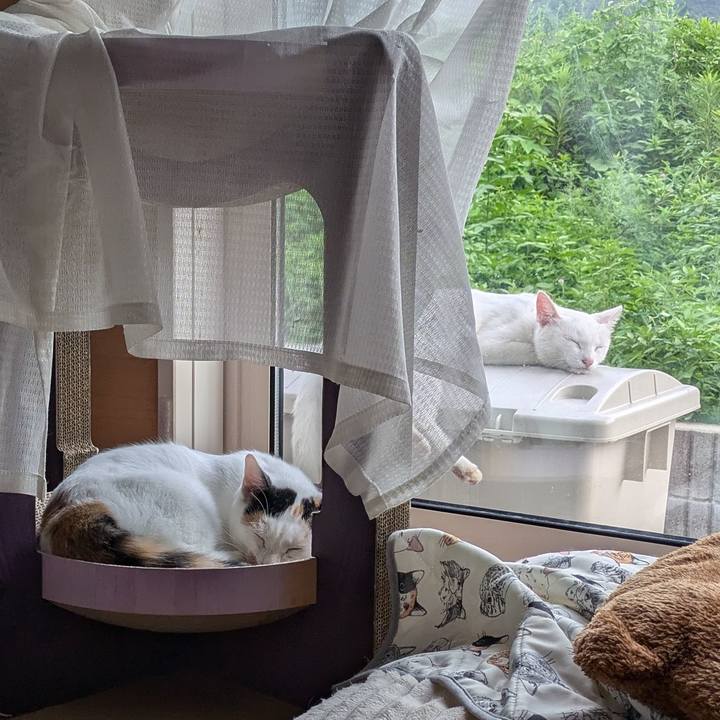 6eb13eb2 ad50 4add 8653 dda92876b030 1724312447335