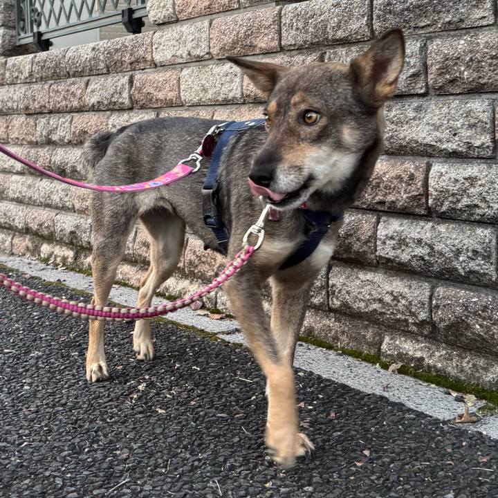 6eb1486d 3d86 436f b2fe 9d83e96a5a72 1763684220993