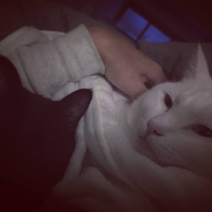 6eb1654e 8321 49ea b94d 37aa079bc144 1511133207766