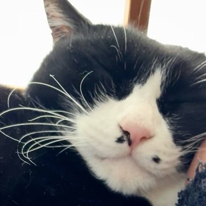 6eb1a167 f7ea 4a96 aa41 a6fc9847d2b5 1770864942464