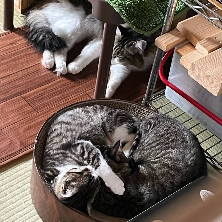 6eb1b08c e409 4748 a467 2abd485fdb7f 1770786751088