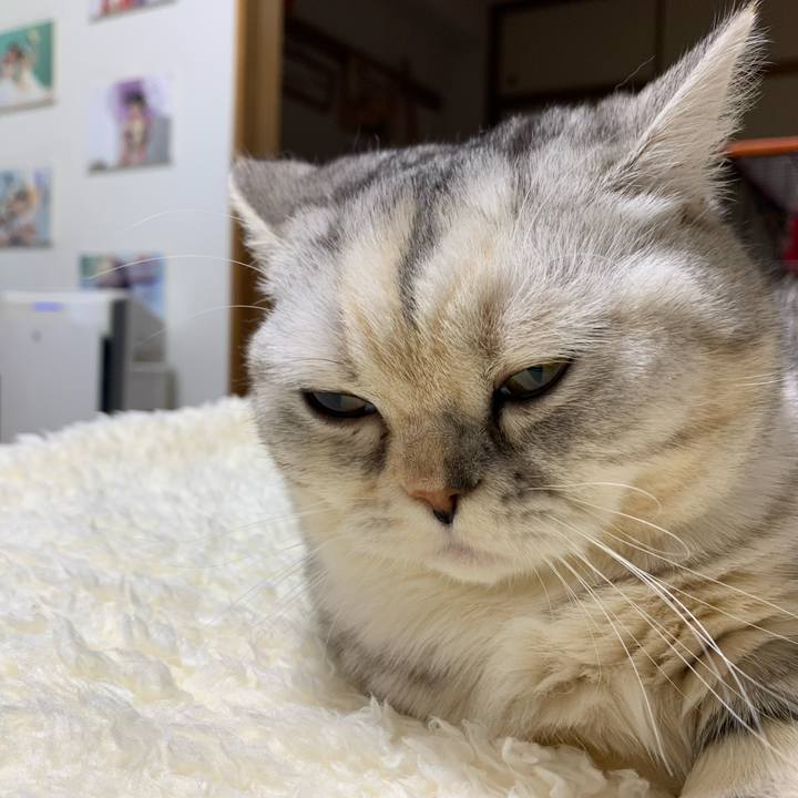 6eb1bd15 edc0 43fa b472 a2366eb9bd6b 1707491137448