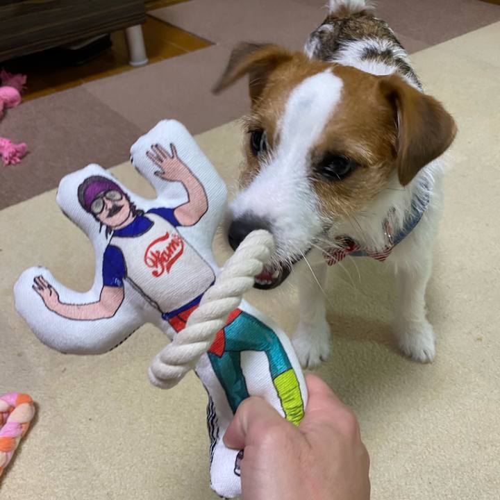 6eb1ff61 0005 42a5 a5d7 a1de6394adb2 1626611476460