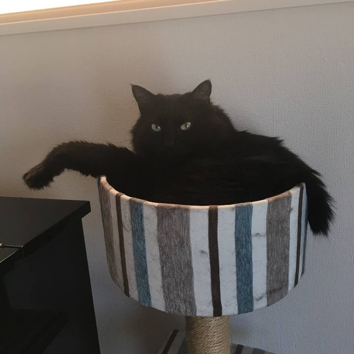 6eb22a46 3753 4bbf a200 27f16d664a2d 1527117589677