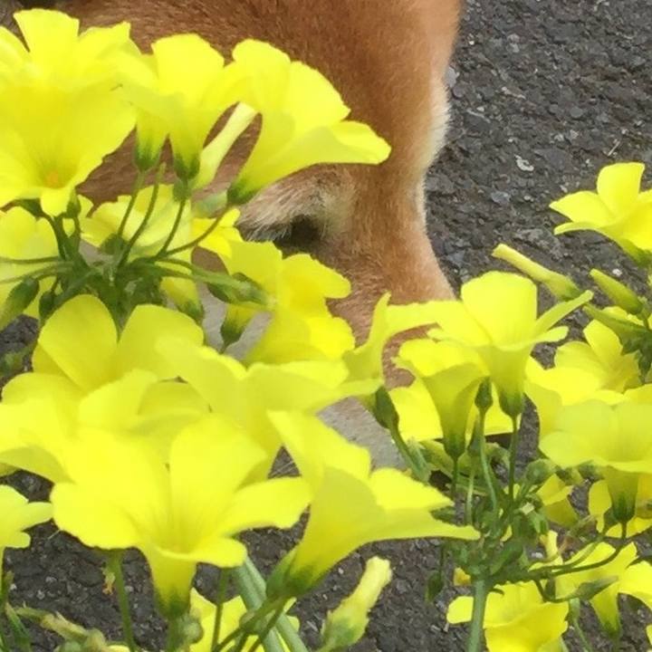 6eb22fa3 4b01 4b7a a16b 4121001e66d4 1552189774879