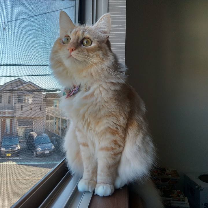 6eb24105 93a3 4581 88bc abbb31ae8f9c 1632007820379