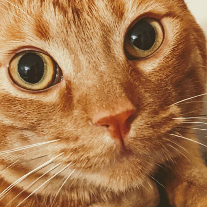 6eb243a6 5730 4191 9a94 49c88e99fe33 1619440577978