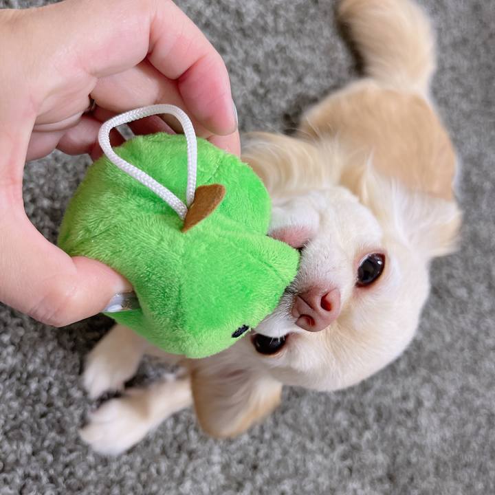 6eb27386 6344 4701 8318 f6859b54ba44 1654397236157