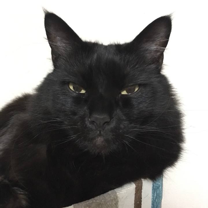 6eb28537 10c4 4dea ae54 e62b82d7db66 1521765816439