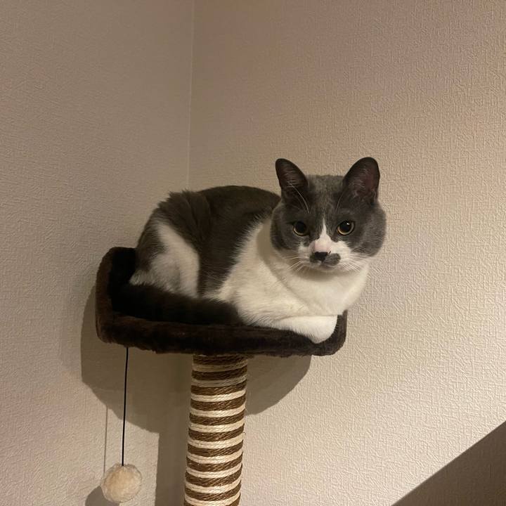 6eb2b420 e288 4d6e ba83 0d836ca29462 1668677221101