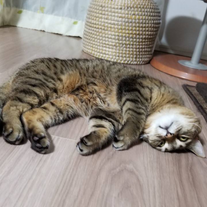 6eb2be98 5535 4439 9070 ab1671a4f9bb 1552913709710