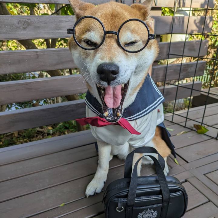 6eb2d0fe c008 45b7 bf55 74fe30d04e2d 1711695951050