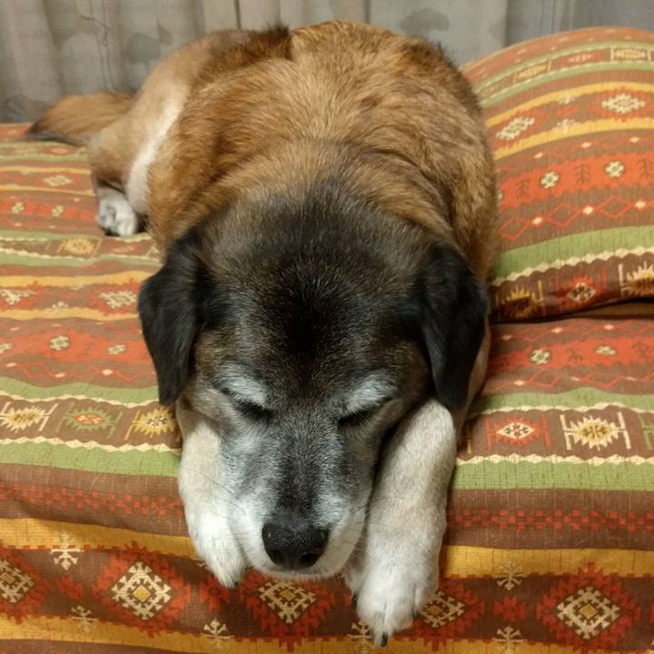 6eb30188 03a5 452c a1f6 c84e164eb29c 1551487595419