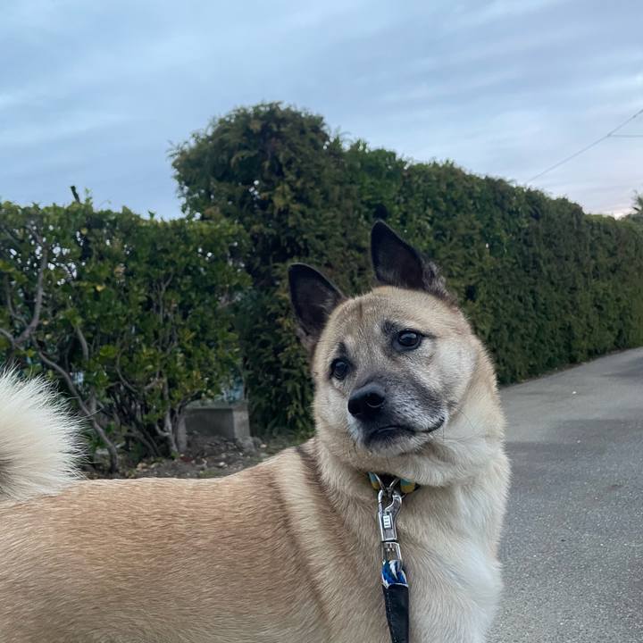 6eb32f49 25d2 41af 8825 339d046233ec 1670242448154