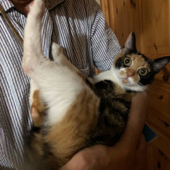 6eb34259 1500 46b4 a4f1 3bb83e06bf37 1536153898882