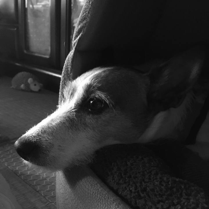 6eb34534 bf19 4efe be7d 6d67304affce 1590449437576