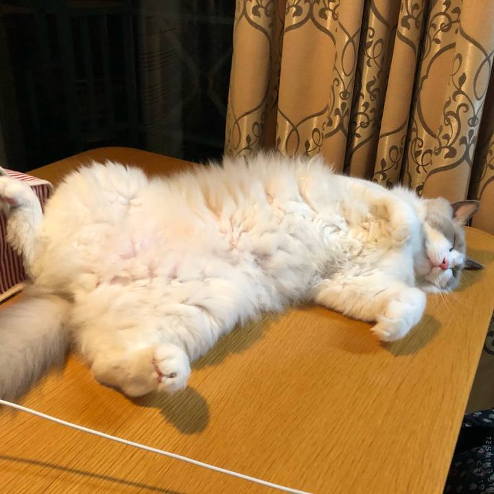 6eb36138 4916 434e 9e1a 65449a30c180 1601114823959