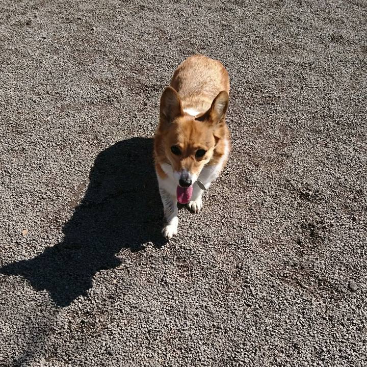 6eb36d56 6d6e 48d8 9b00 108028a89953 1555217923596