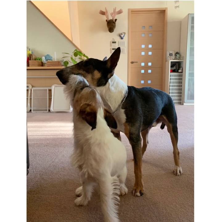 6eb375d1 2f78 4ae6 8598 746ff8f83a4f 1583476095911