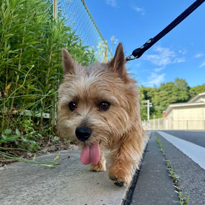 6eb39b51 2c03 471f aa7a 4fb06924437e 1749999782390