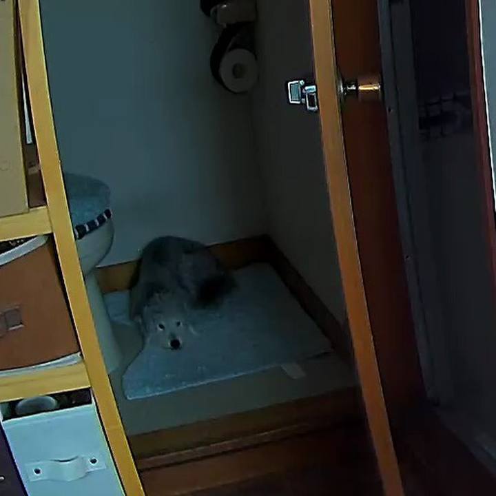 6eb3bf1f c570 4e69 8057 13a2c45f050c 1596094135614