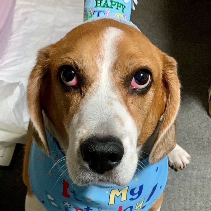 6eb3f4b8 787c 472e ad1f 43b5b39424e8 1697367419473