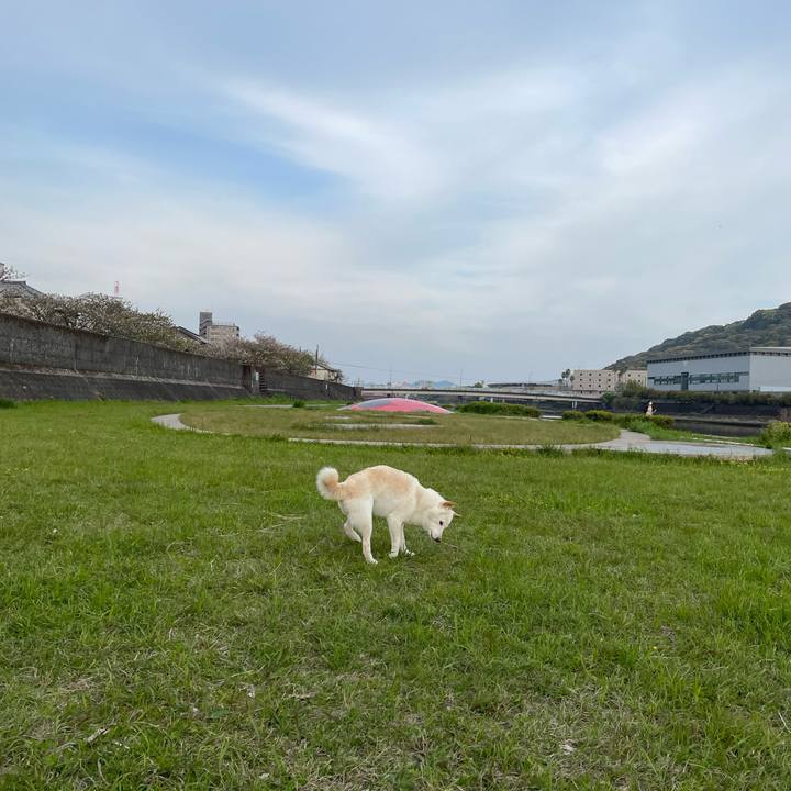 6eb40b84 b0be 4b96 b70d 16dbde7aeb4c 1649577421826