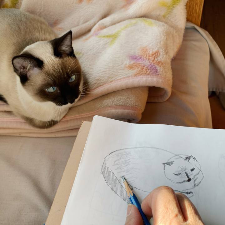 6eb445ce a007 4133 bc4d e2f65e1c2a8e 1674104110553