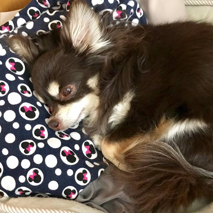 6eb46063 6cb4 4d5f aa7c 352455303061 1559614237775