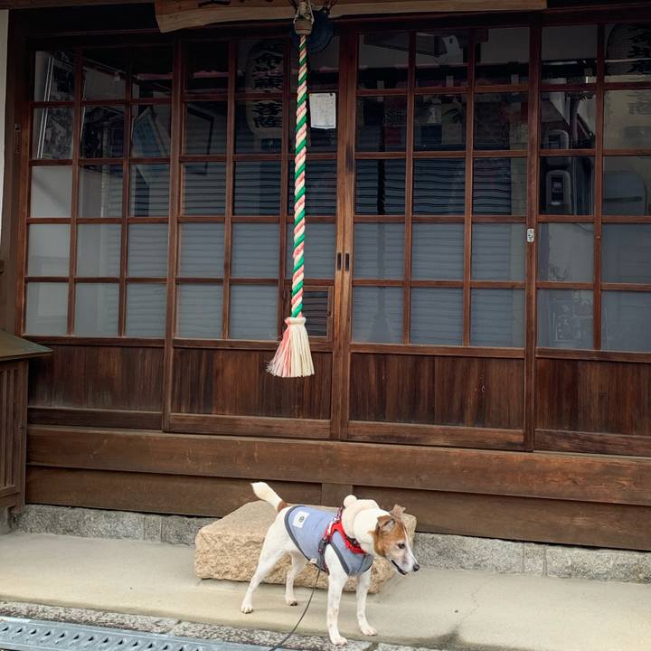 6eb47453 eb89 4aee acdd 2693980a428a 1583030464893