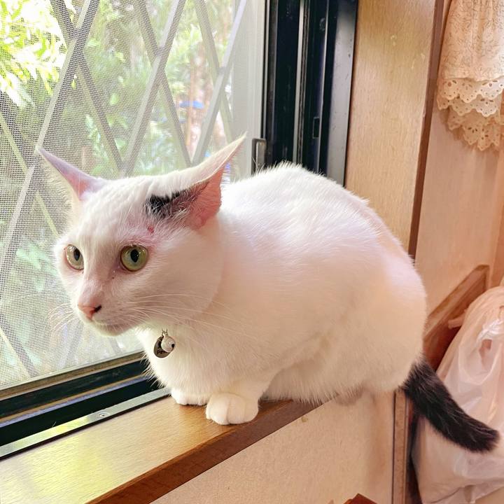 6eb48f81 7dee 471f bf62 8326d358b5f0 1752983264968