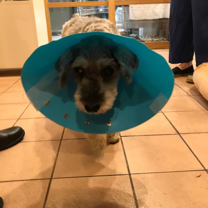 6eb4a0ca 6b91 4195 87dd 6178d025ba7a 1529330082210