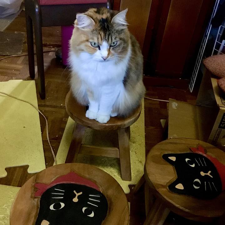 6eb4a343 6804 4f1c af90 0c2ce3c253b0 1571211788677