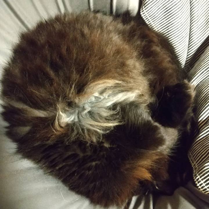 6eb4b053 dd94 4ea7 a26f 56ddfbe6dc62 1580637043816