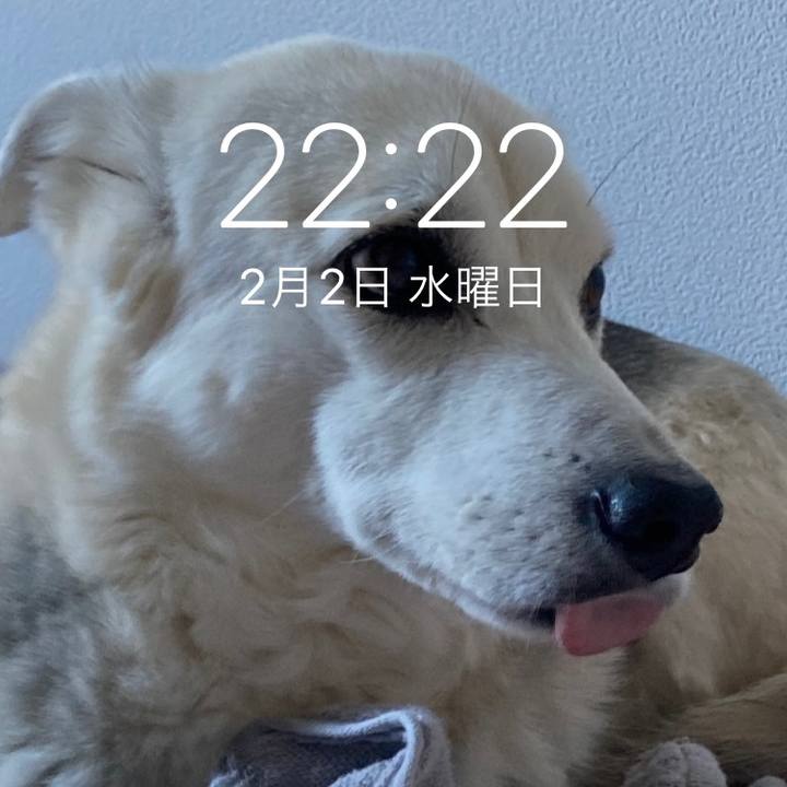 6eb4b3cd 7ea5 402f b105 f666ee39ea00 1643810488819