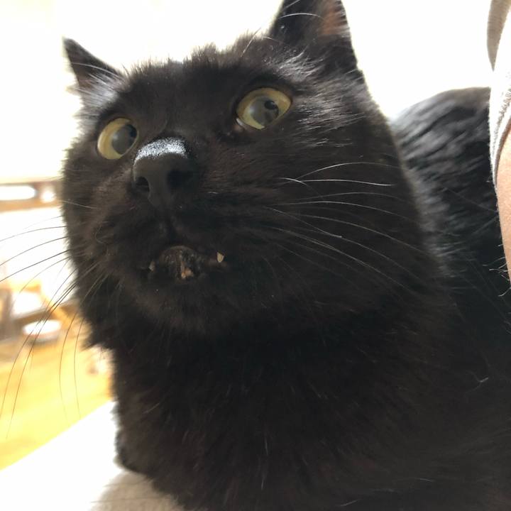 6eb4cfe7 5e79 4759 b868 480379e29e43 1590667408871