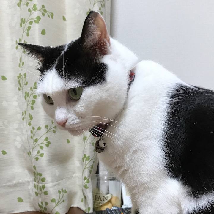 6eb4ded4 cc1d 48fd a261 614cc8923cf3 1536236592348