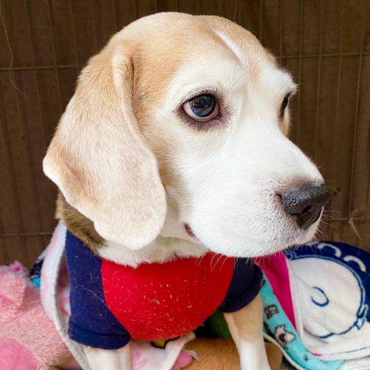 6eb50646 81d1 4b4d bc3c 1009f8fca7a3 1579062449336