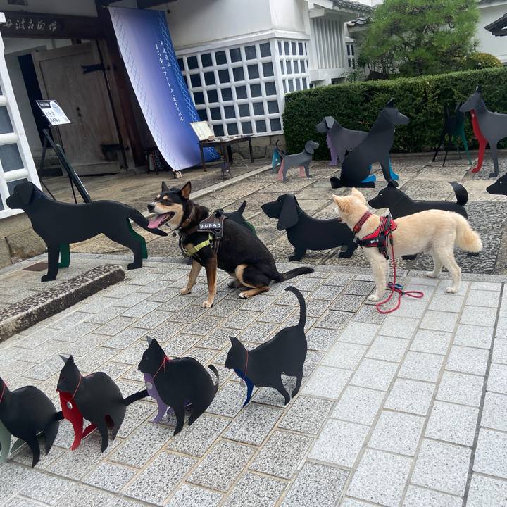 6eb5177e 9bc1 4ce1 8a46 19abbea9954c 1726879014206