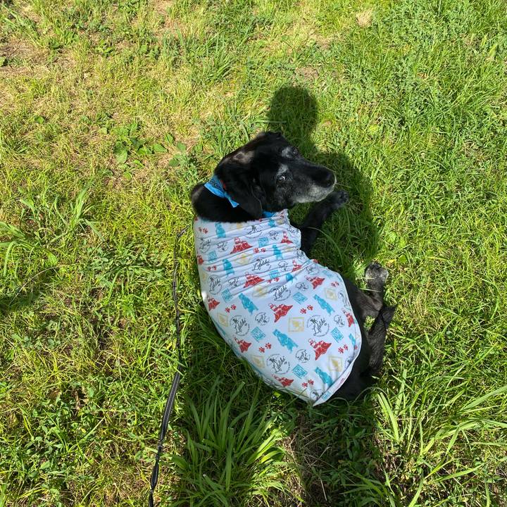 6eb51b1c 4b7a 4ca4 a855 dcb5691674bd 1718866092214