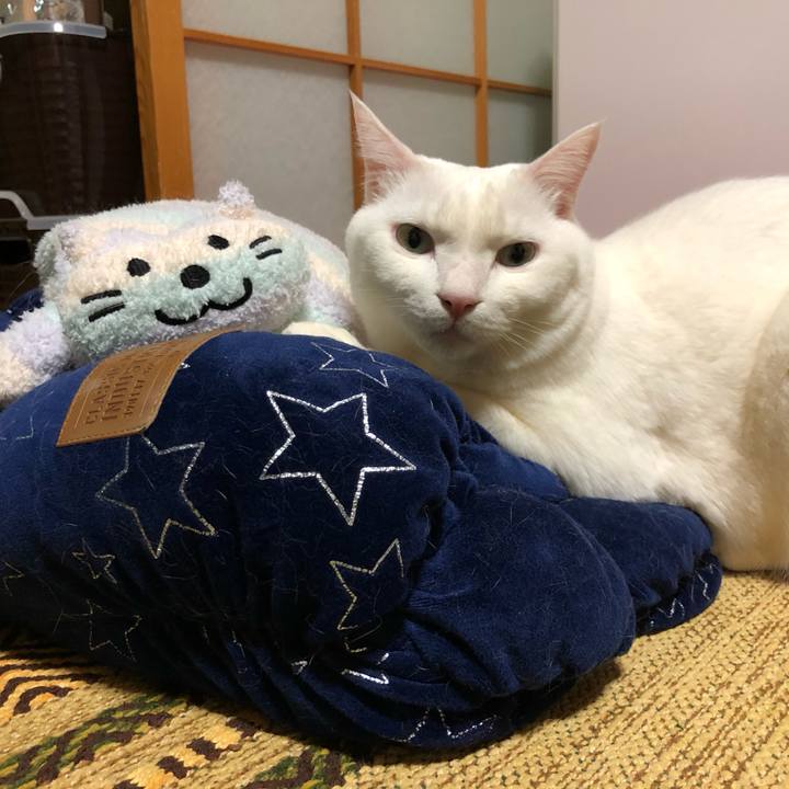 6eb51e9b 2dac 4be0 aedb 513a77f8672d 1582366557671