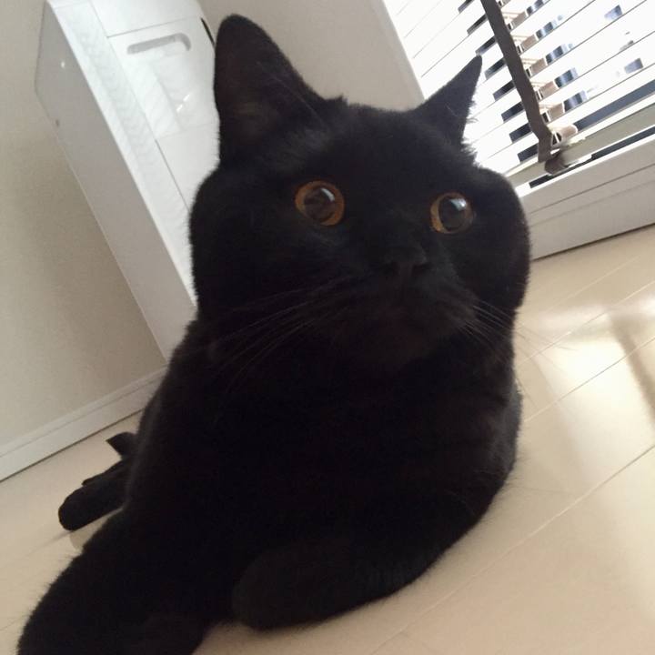 6eb52eb6 91e8 420f 87d9 d03c46ce0a1d 1563311930725