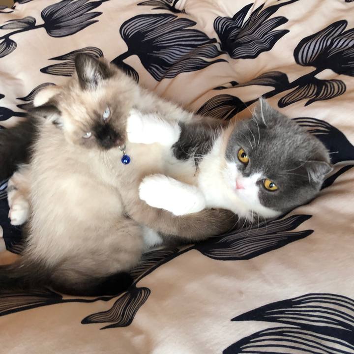 6eb54d36 e200 4fb4 8650 f42b7cbe9d7d 1587859989971